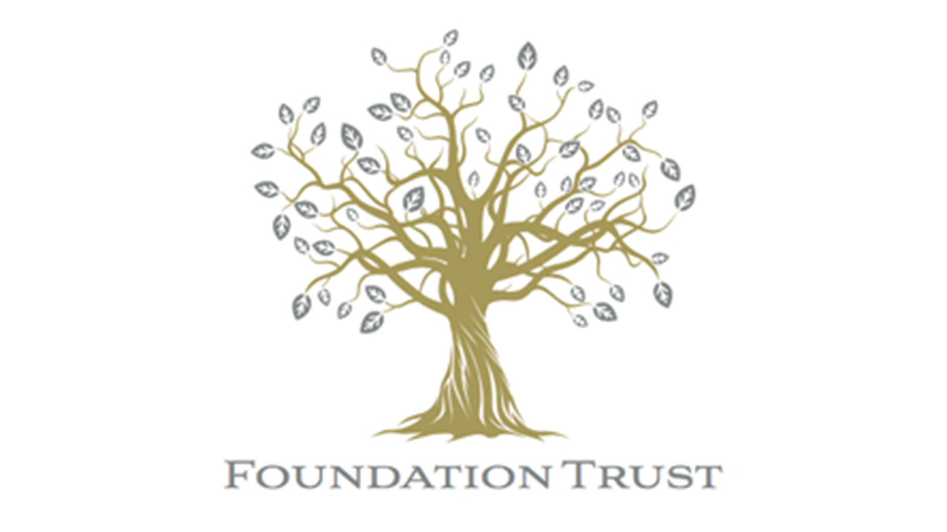Foundation Trust